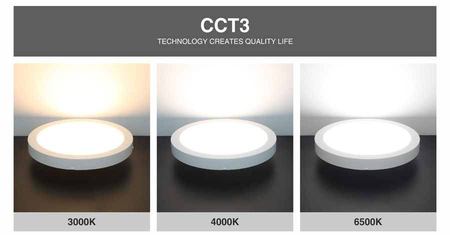 LED Downlight With Sensor- RS-RD-0625PIR-MW